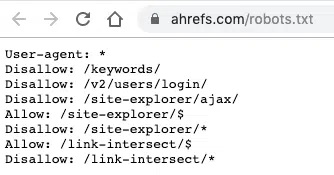  file robots.txt