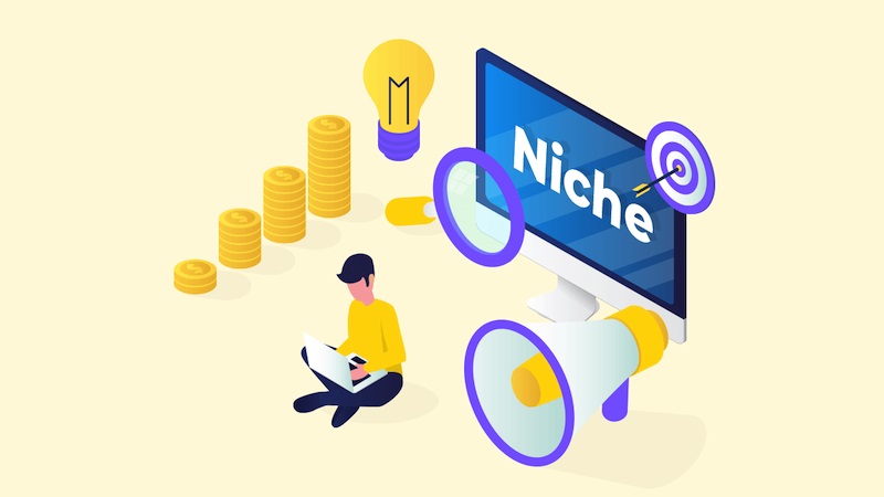 Vì sao nên lựa chọn niche site?