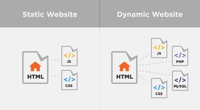 Thế nào là website tĩnh và website động?